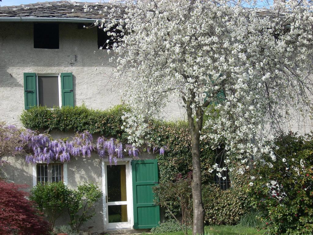 B&B L'Isola Piantedo Экстерьер фото